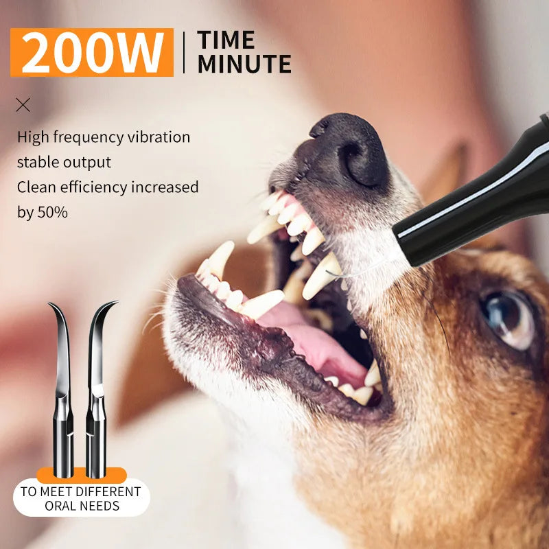 Brosse à dents électrique Portable ultrasonique pour chien, élimination professionnelle du calcul de la Plaque, blanchiment des dents pour les soins dentaires des animaux de compagnie