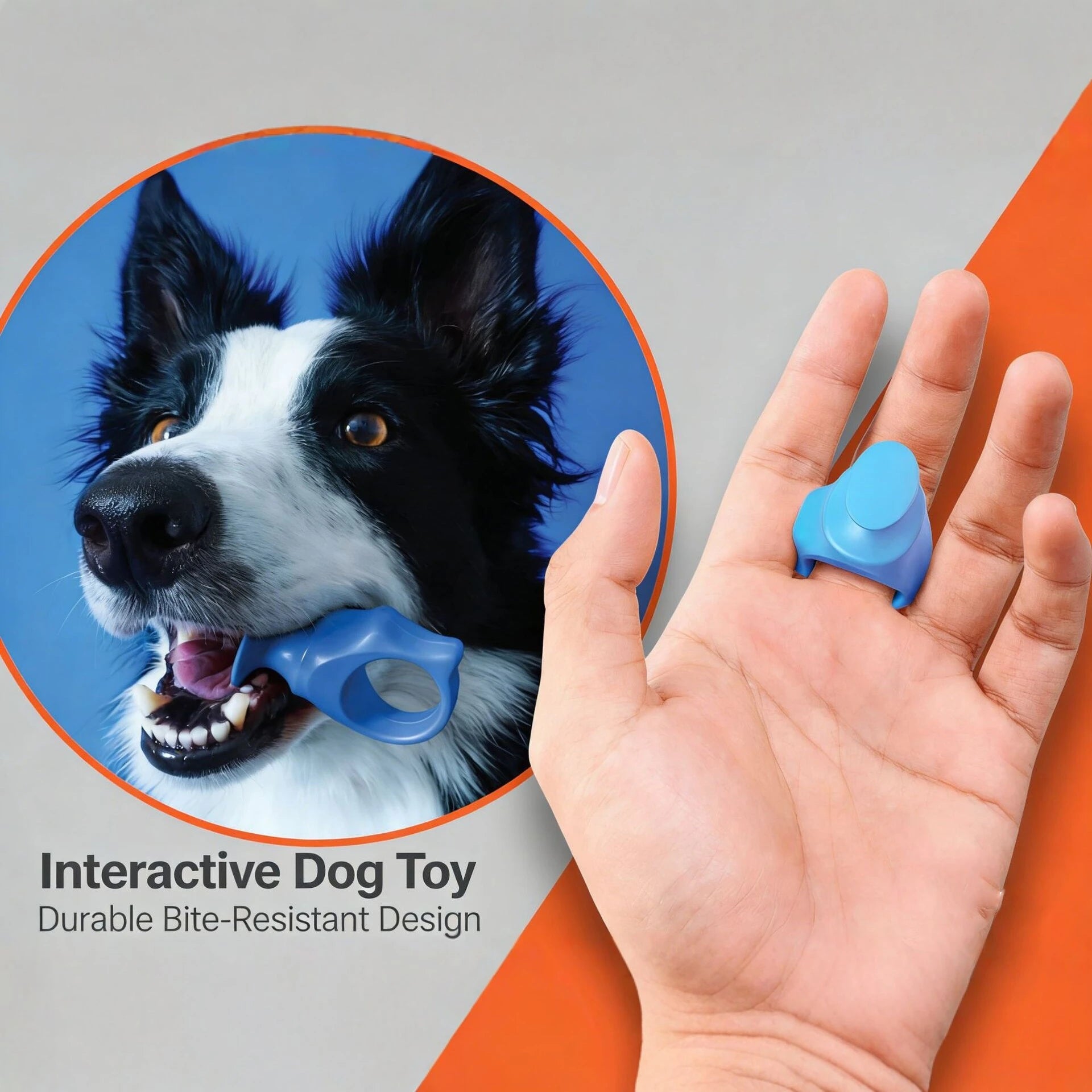 Brosses à dents en silicone souple pour animaux de compagnie, brosses à doigts pour chiens, outil de soin des dents contre la mauvaise haleine et le tartre, brosse de nettoyage pour chats, accessoires pour animaux de compag