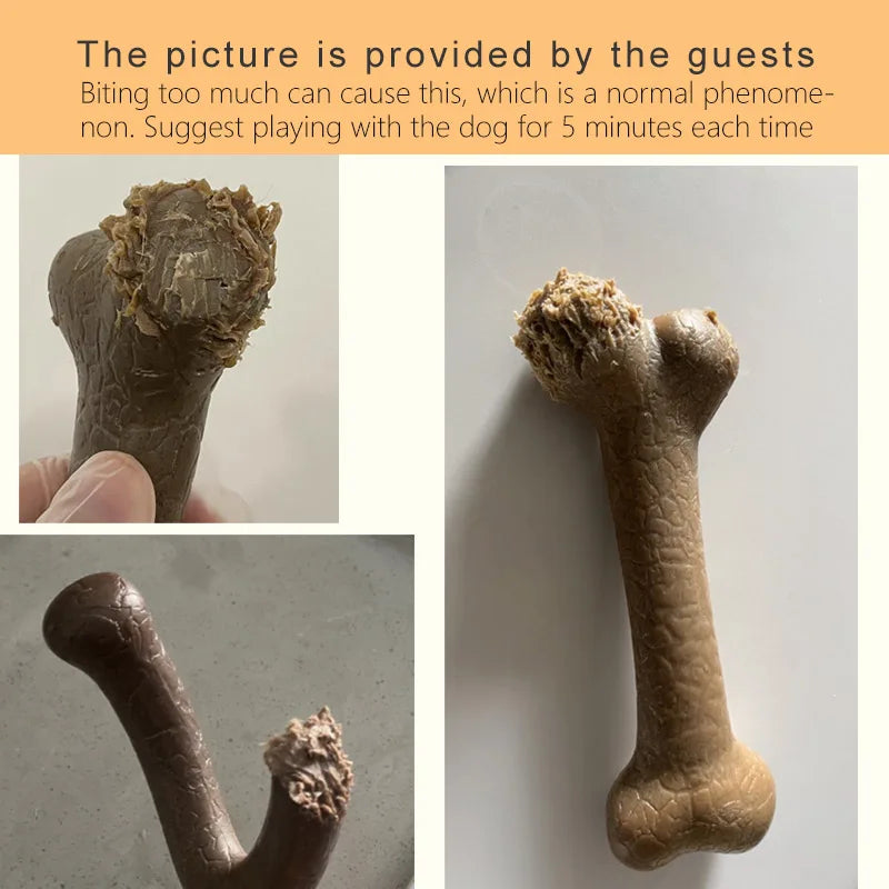 Jouets pour chiens Caitec, jouets à mâcher en os, durables, résistants aux morsures, idéaux pour le lancer et la chasser, adaptés aux chiens de petite à grande taille