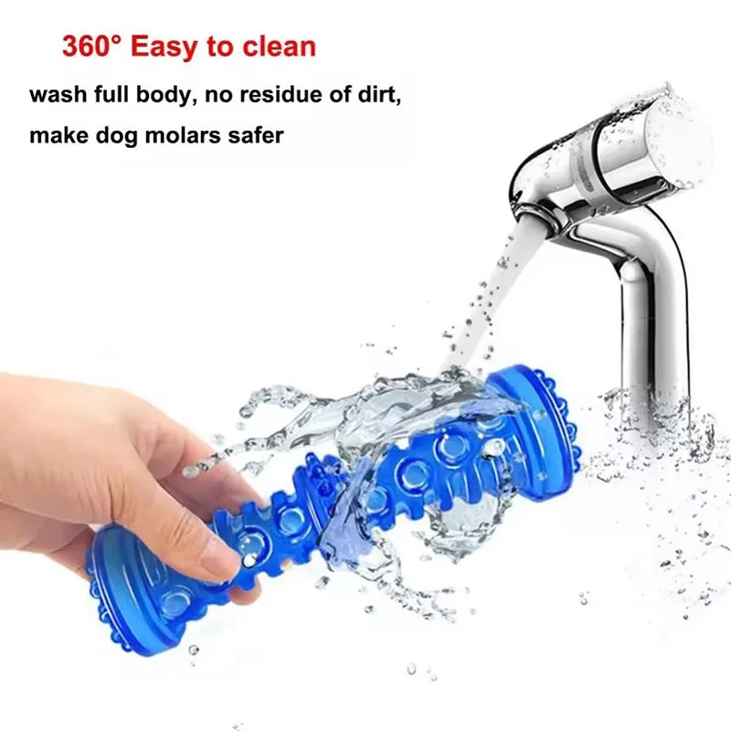 Jouet à mâcher en plastique en forme d'os pour chien, TPR grinçant, avec son, nettoyage des dents, bâton molaire Anti-morsure, fournitures pour animaux de compagnie