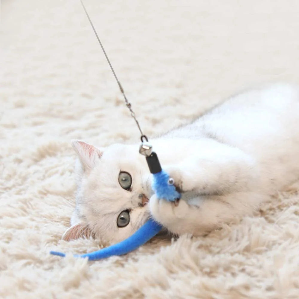 Ensemble de jouets pour chat, baguette rétractable, jouets en plumes et recharges de remplacement avec cloches, jouets interactifs pour chaton, 11 paquets