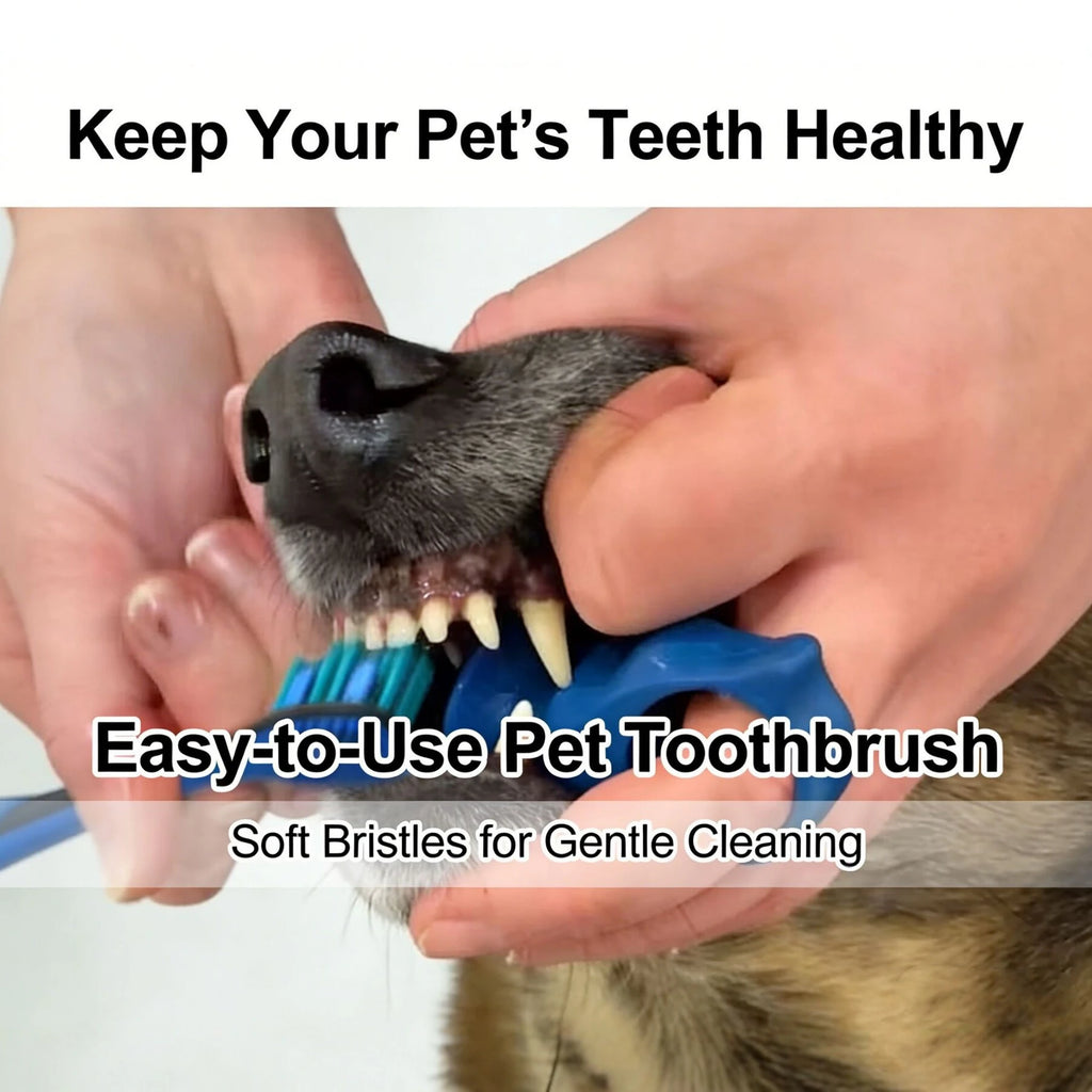 Brosses à dents en silicone souple pour animaux de compagnie, brosses à doigts pour chiens, outil de soin des dents contre la mauvaise haleine et le tartre, brosse de nettoyage pour chats, accessoires pour animaux de compag