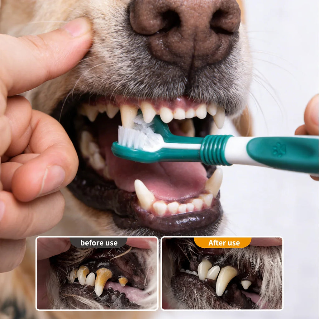 Brosse 3 faces anti-tartre chien & chat