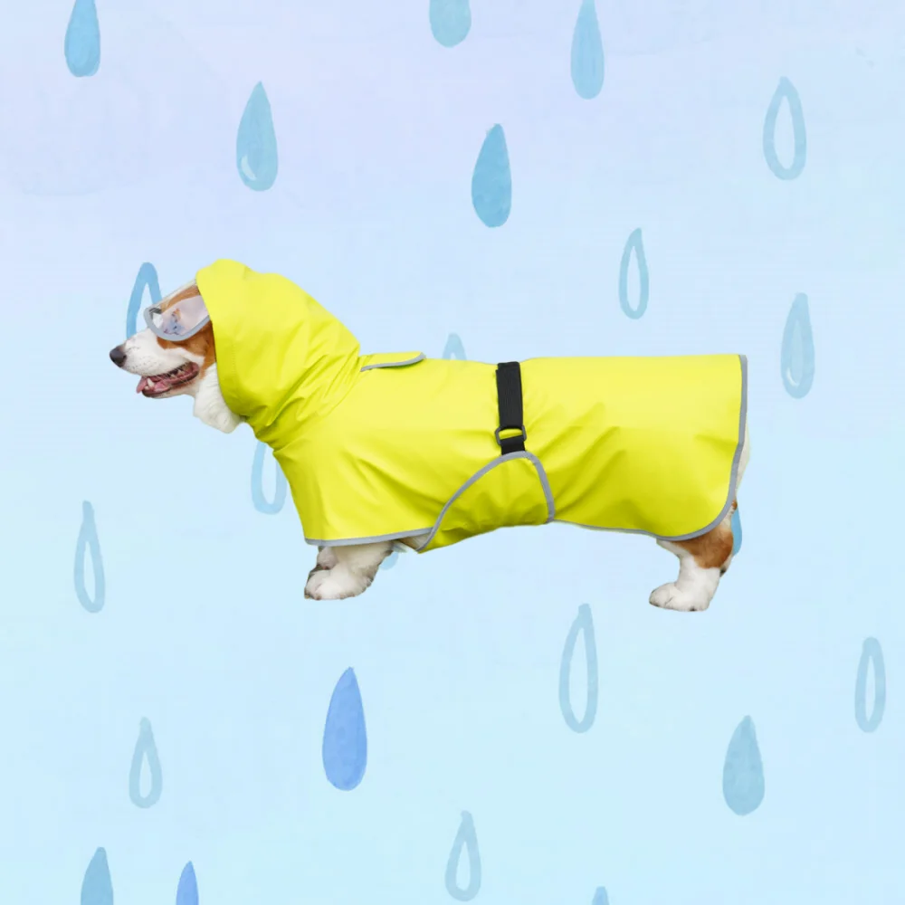 Imperméable chien toutes tailles, léger