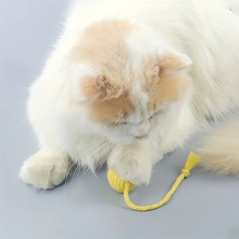 Boule de corde en coton colorée pour chat, jouets interactifs pour animaux de compagnie, chatons, 4 pièces/ensemble