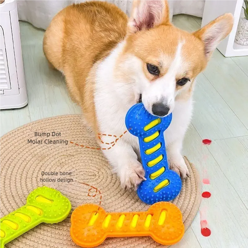 Jouet à mâcher pour chien, os grinçants, résistant aux morsures, jouet d'entraînement pour chiot, nettoyage des dents, Massage interactif, brosse à dents, jouet pour chien