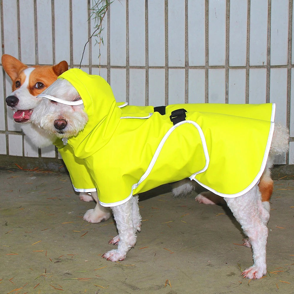 Imperméable chien toutes tailles, léger