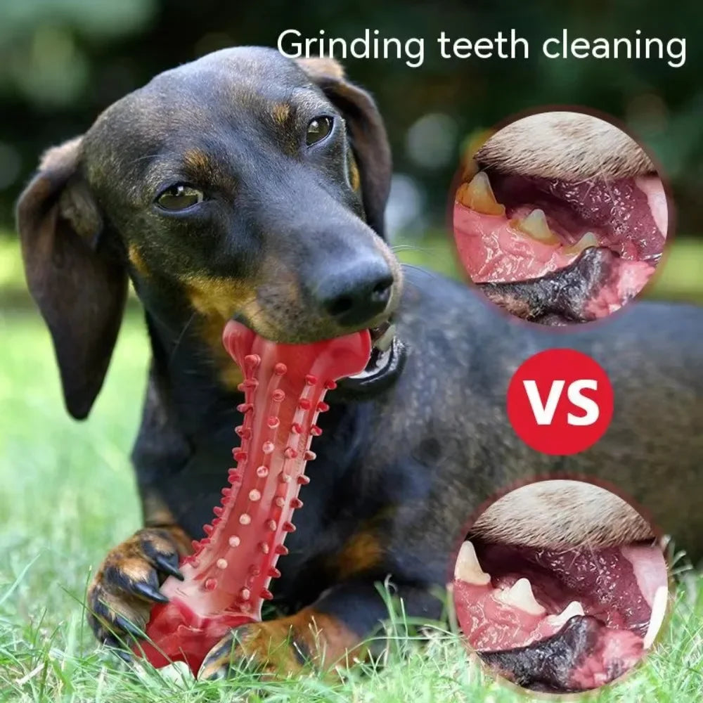 Jouets pour chiens, affûtage des dents, nettoyage des os de chien, entraînement en caoutchouc naturel, jouets à mâcher rigides et durables pour chiens de taille moyenne et grande, fournitures pour animaux de compagnie