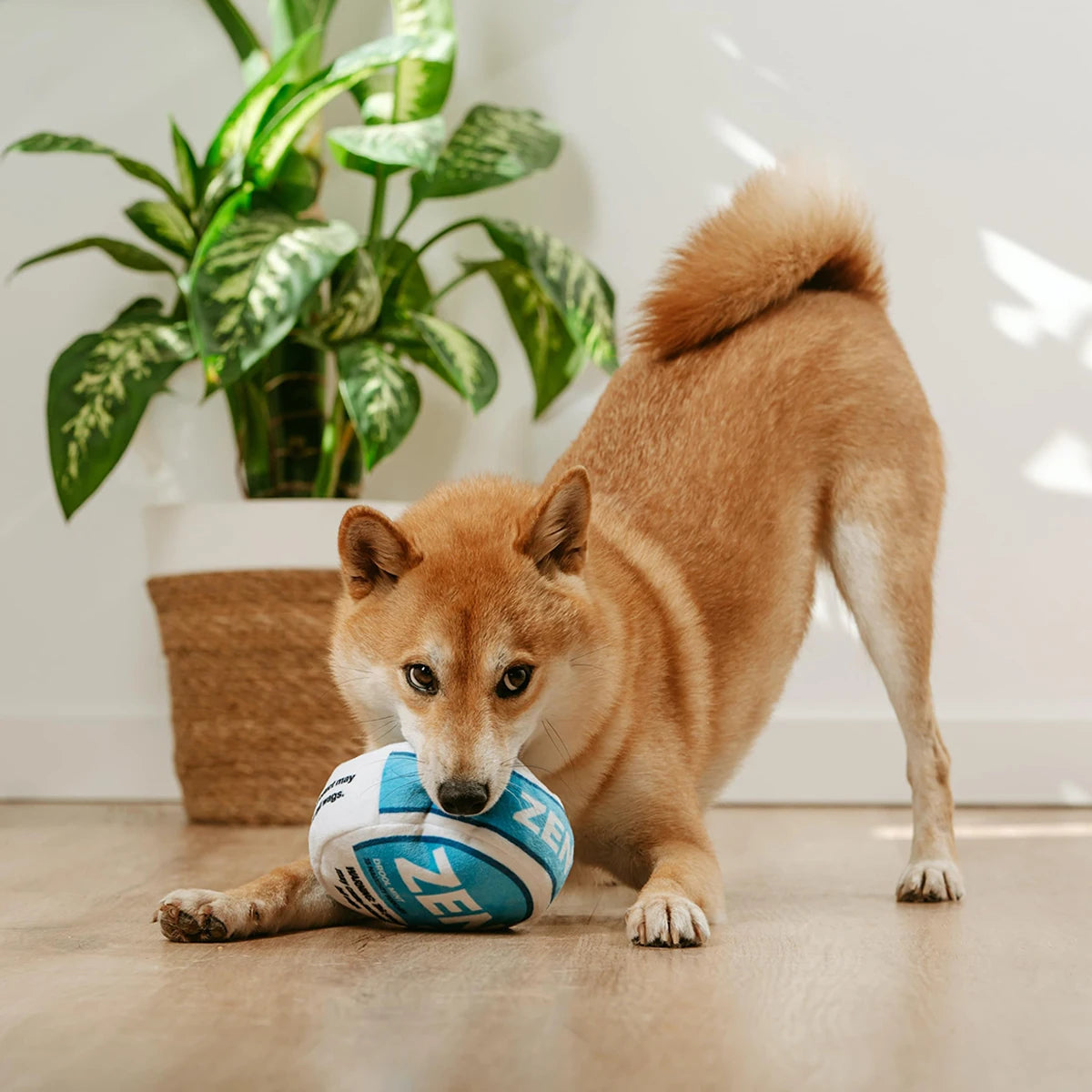 Jouet parodie pour chien Zen Pupper Deckies - Jouet drôle en peluche grinçant et froissé pour chien - Drool Mint