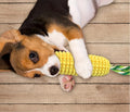 Jouets à mâcher pour chiens, pour mâcheurs agressifs, indeBuckle, résistant et durable, jouets interactifs grinçants, adaptés aux petits et grands chiens