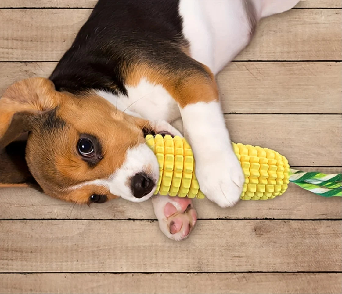 Jouets à mâcher pour chiens, pour mâcheurs agressifs, indeBuckle, résistant et durable, jouets interactifs grinçants, adaptés aux petits et grands chiens