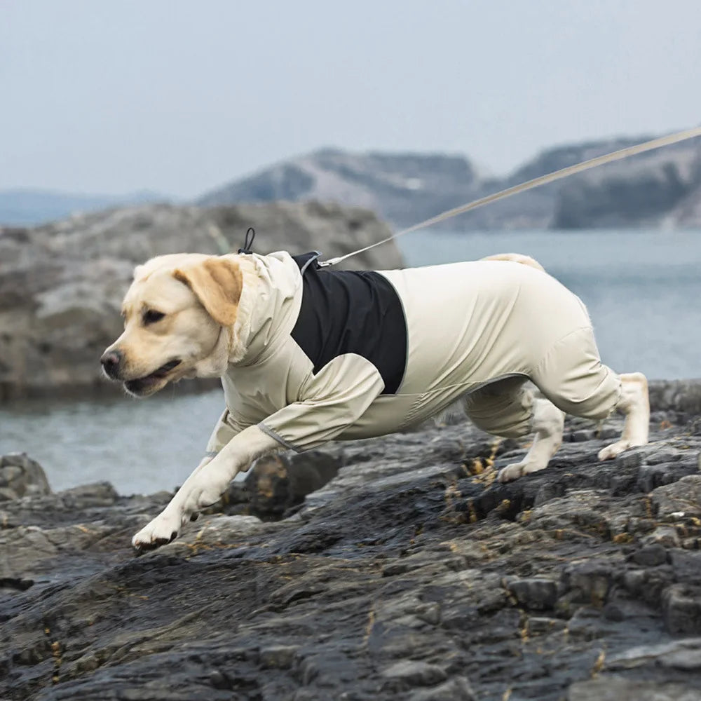 Manteau imperméable pour chien moyen et grand Labrador Golden Retriever Shiba Lnu quatre pieds vêtements imperméables pour chien manteau Anti tempête imperméable pour animaux de compagnie