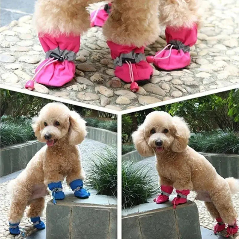 Nouvelles Bottes de Pluie Antidérapantes (4 pièces) pour Petits Chiens et Chats – Chaussures Imperméables pour Chiens, Bottines pour Chiots, Accessoires pour Pattes d'Animaux