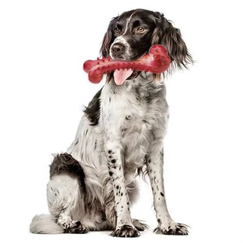 Jouets pour chiens, affûtage des dents, nettoyage des os de chien, entraînement en caoutchouc naturel, jouets à mâcher rigides et durables pour chiens de taille moyenne et grande, fournitures pour animaux de compagnie