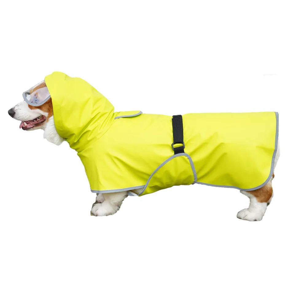 Imperméable chien toutes tailles, léger