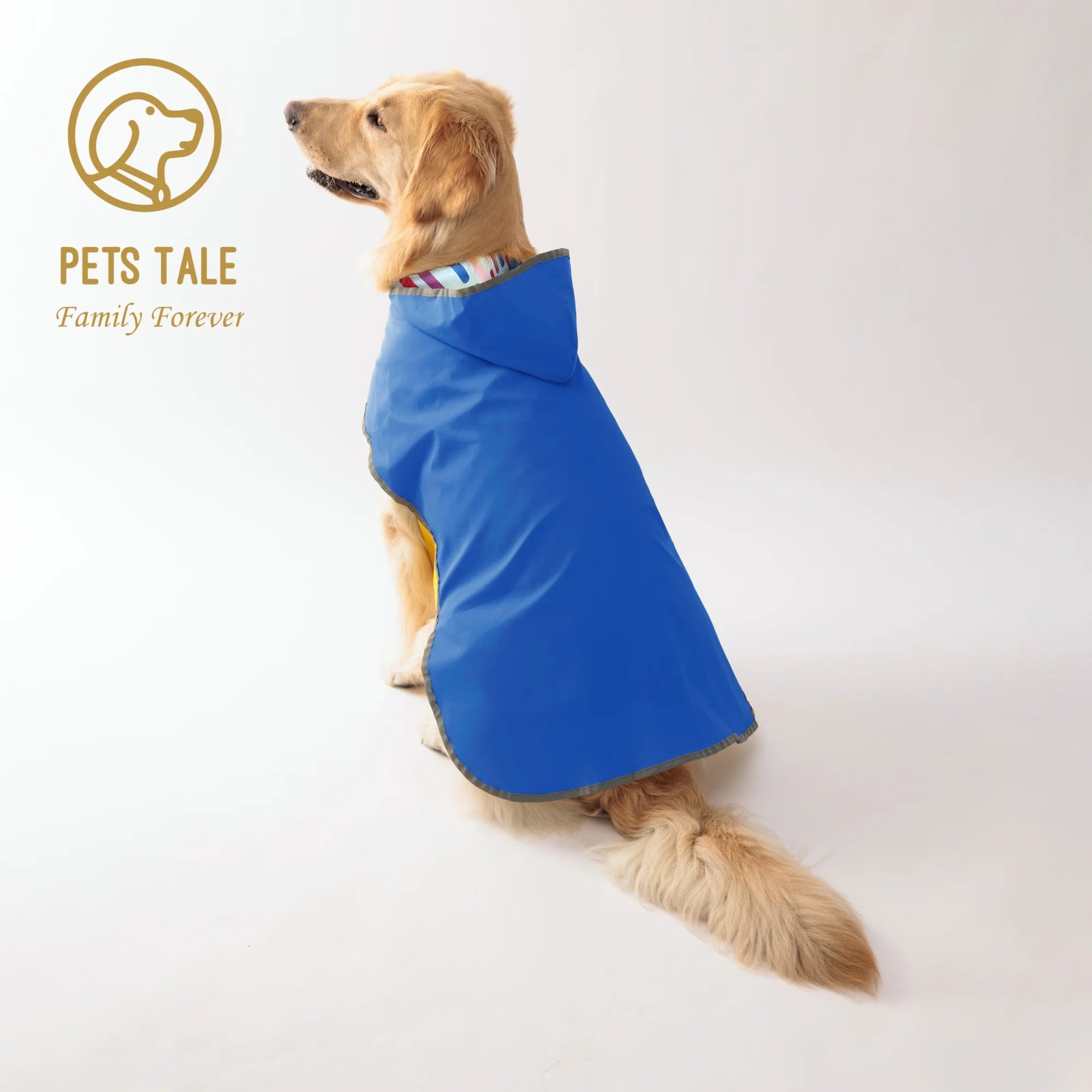 Gardez votre chiot sec et élégant : imperméable jaune double couche avec vêtements bidirectionnels!