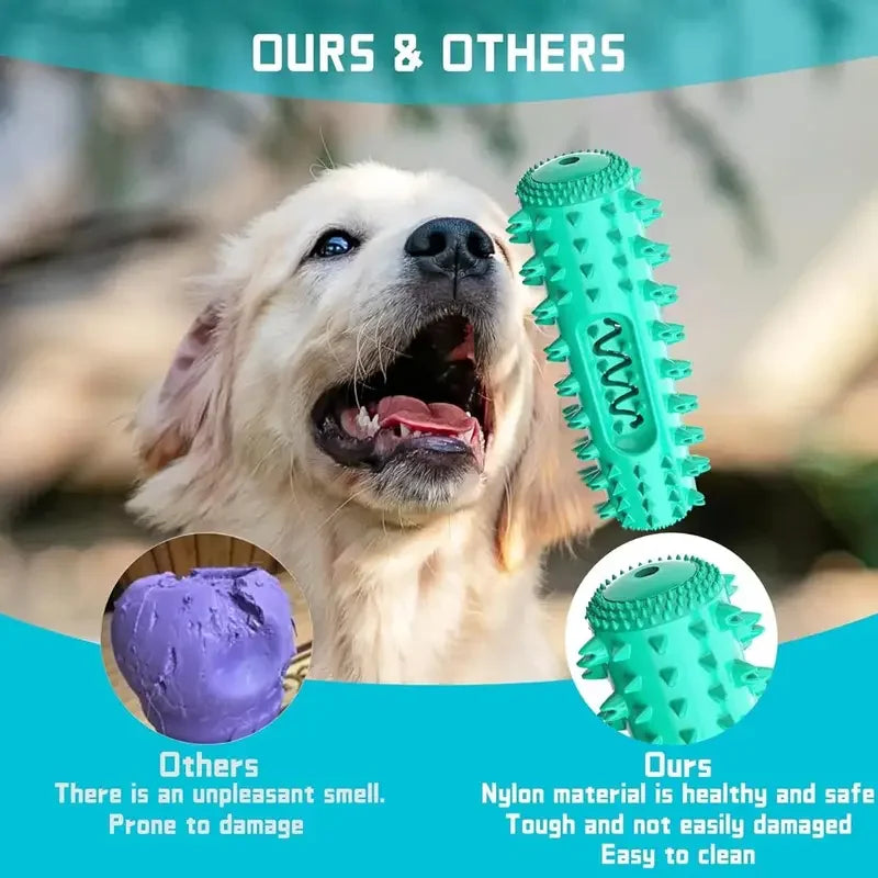 Bâton à mâcher dentaire approuvé par le vétérinaire – Jouet de brosse à dents rafraîchissante 3 en 1 pour petits/moyen chiens, nettoyage des dents d'été et Massage des gencives