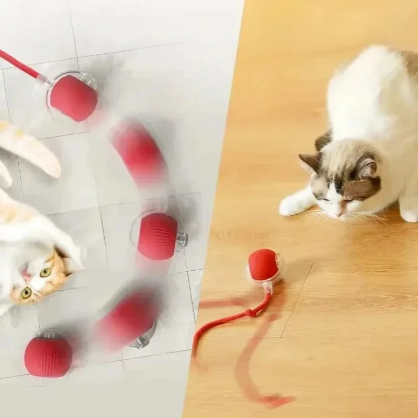 Balle roulante automatique souris pour chat