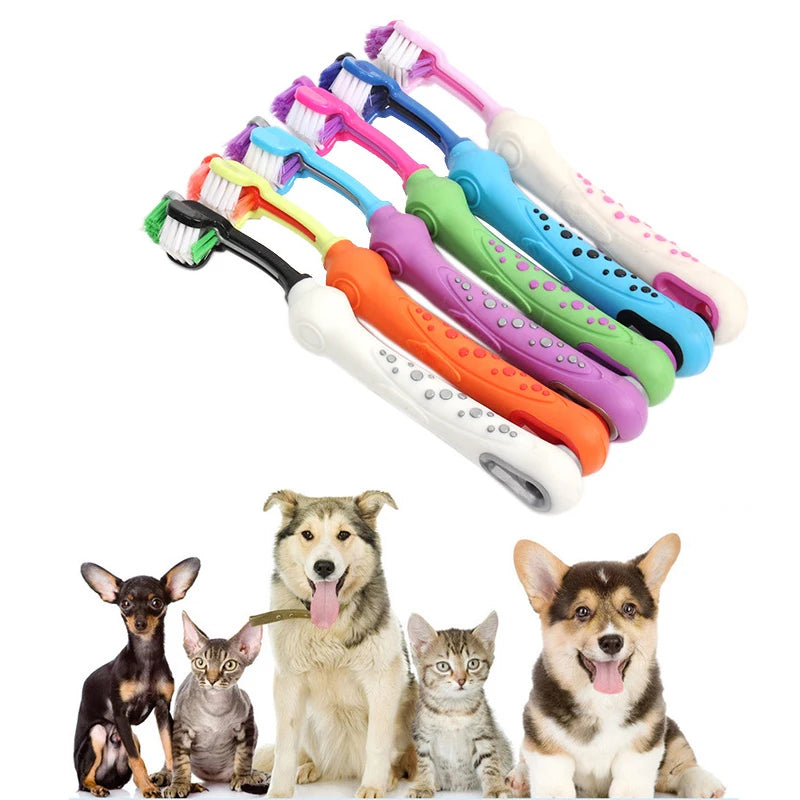 Brosse à dents multi-angle à trois côtés pour animaux de compagnie, livres, chien, chat, mauvaise haleine, soins dentaires pour animaux de compagnie, bouche