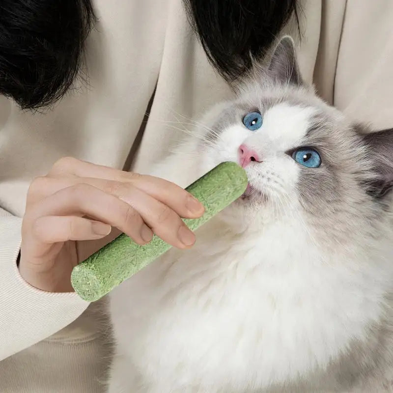 Bâton de dentition en herbe pour chat, bâton d'élimination des boules de poils pour animaux de compagnie, prêt à manger, bâton de nettoyage des dents pour bébé chat, améliore la Digestion