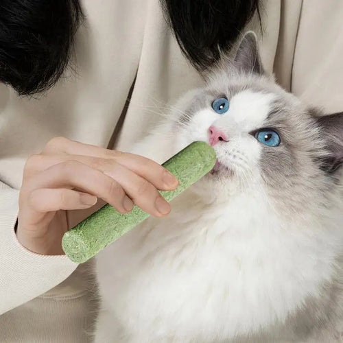 Bâton de dentition en herbe pour chat, bâton d'élimination des boules de poils pour animaux de compagnie, prêt à manger, bâton de nettoyage des dents pour bébé chat, améliore la Digestion