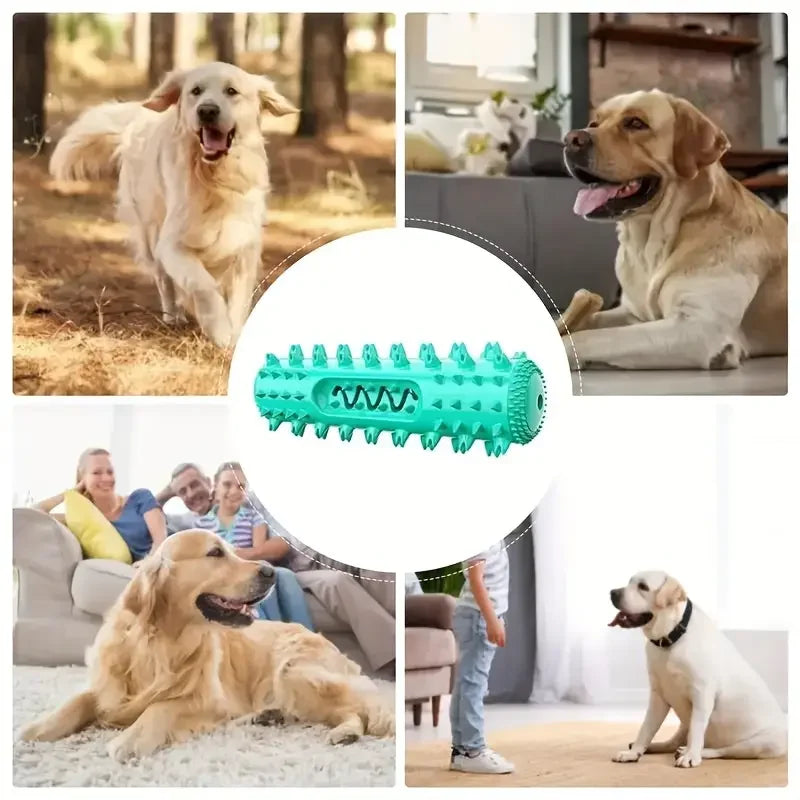 Bâton à mâcher dentaire approuvé par le vétérinaire – Jouet de brosse à dents rafraîchissante 3 en 1 pour petits/moyen chiens, nettoyage des dents d'été et Massage des gencives