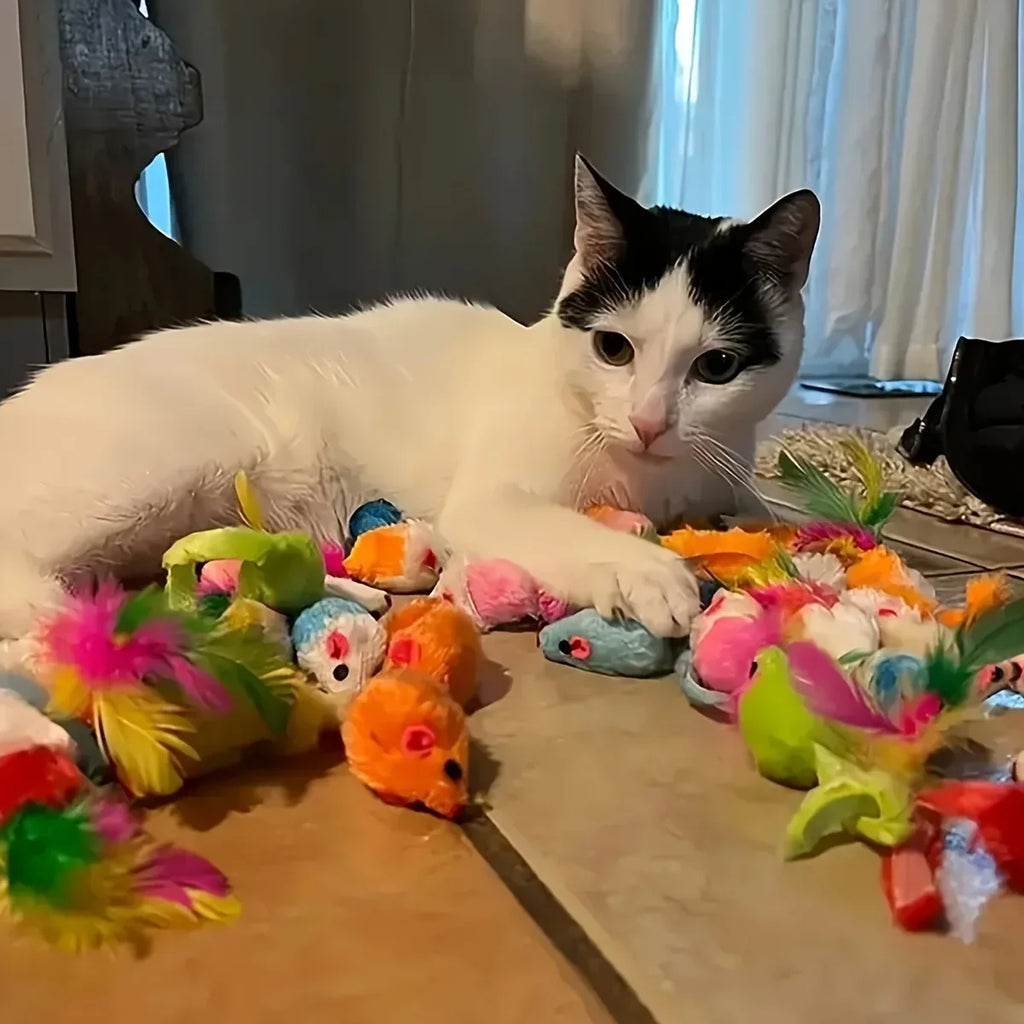 Pack mixte de jouets pour chats, 56 pièces/28 pièces/14 pièces. Une combinaison de divers jouets en plastique et de jouets en peluche adaptés à plusieurs chats à jouer