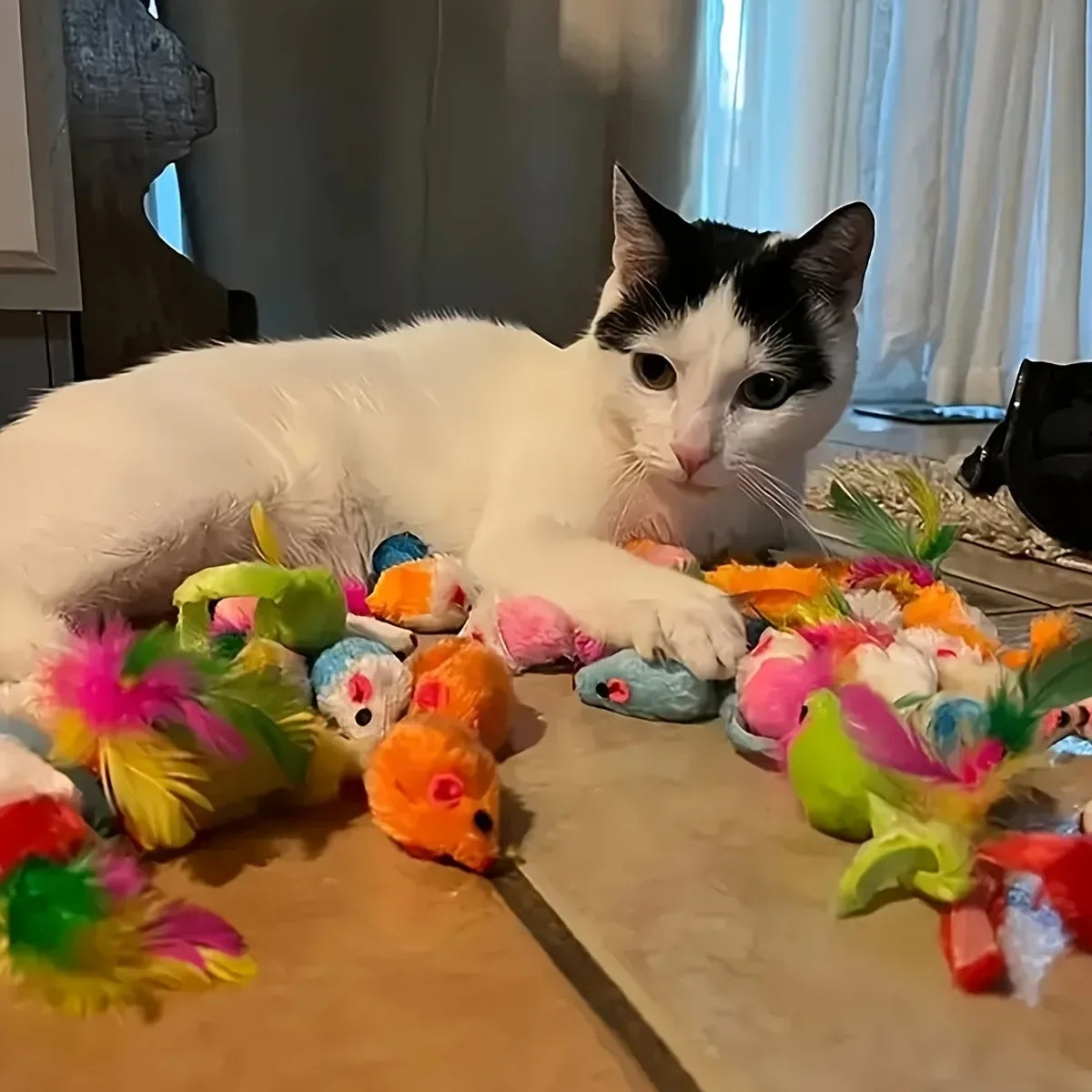 Pack mixte de jouets pour chats, 56 pièces/28 pièces/14 pièces. Une combinaison de divers jouets en plastique et de jouets en peluche adaptés à plusieurs chats à jouer