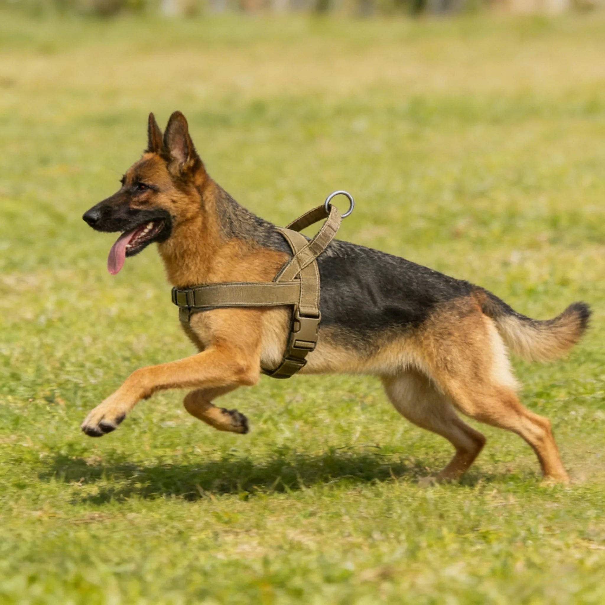 Harnais tactique gilet grand chien robuste